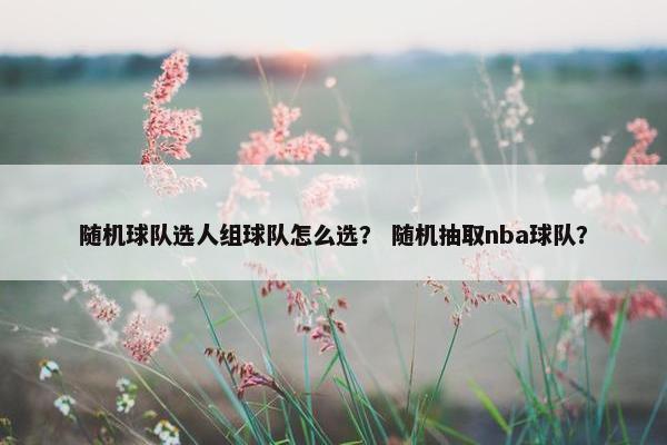 随机球队选人组球队怎么选？ 随机抽取nba球队？