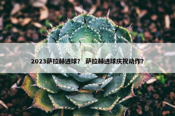 2023萨拉赫进球？ 萨拉赫进球庆祝动作？