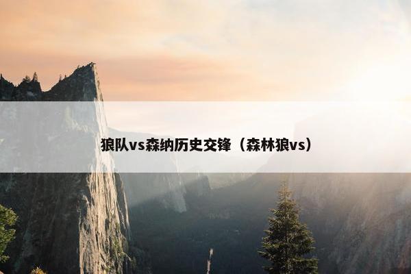 狼队vs森纳历史交锋（森林狼vs）