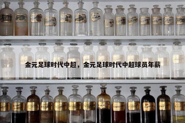 金元足球时代中超，金元足球时代中超球员年薪