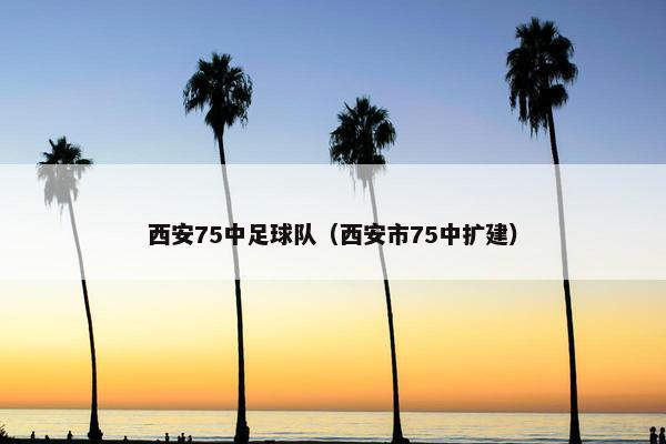 西安75中足球队（西安市75中扩建）