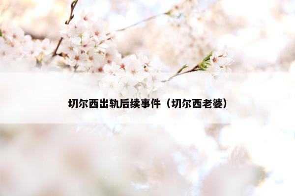 切尔西出轨后续事件（切尔西老婆）