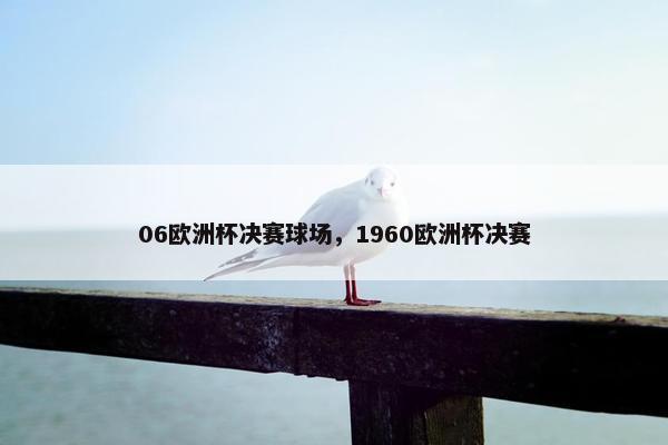 06欧洲杯决赛球场，1960欧洲杯决赛