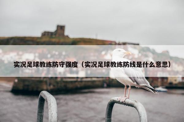 实况足球教练防守强度（实况足球教练防线是什么意思）