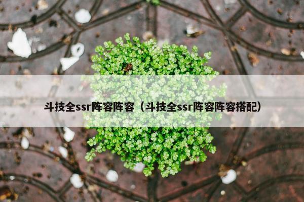 斗技全ssr阵容阵容（斗技全ssr阵容阵容搭配）
