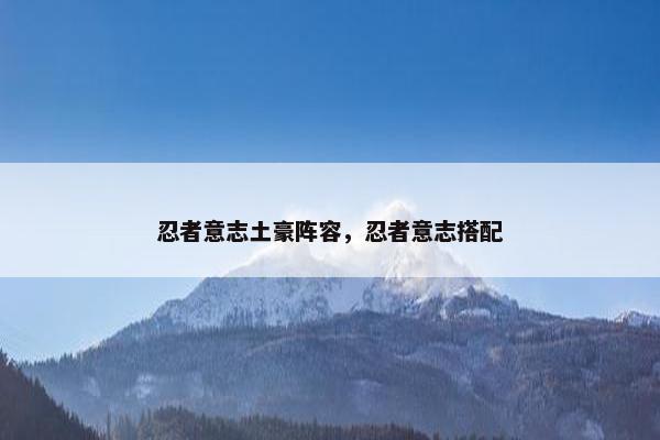忍者意志土豪阵容，忍者意志搭配