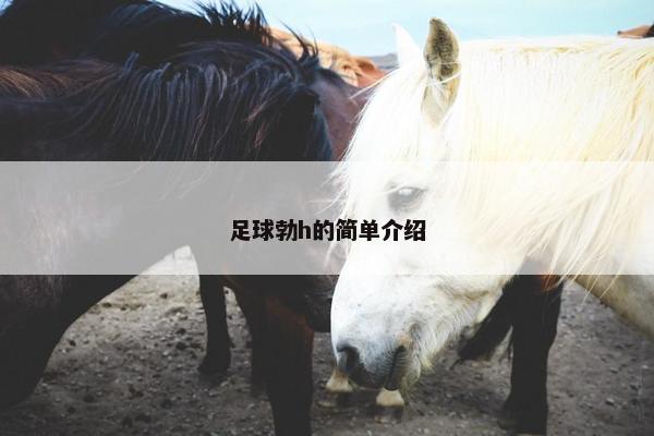 足球勃h的简单介绍