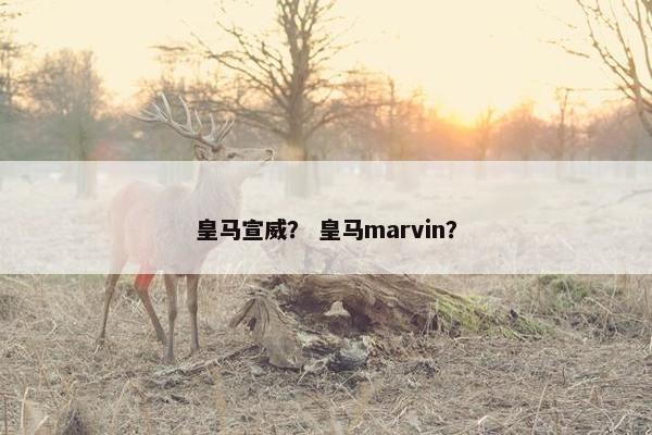 皇马宣威? 皇马marvin? 皇马宣威? 皇马marvin?