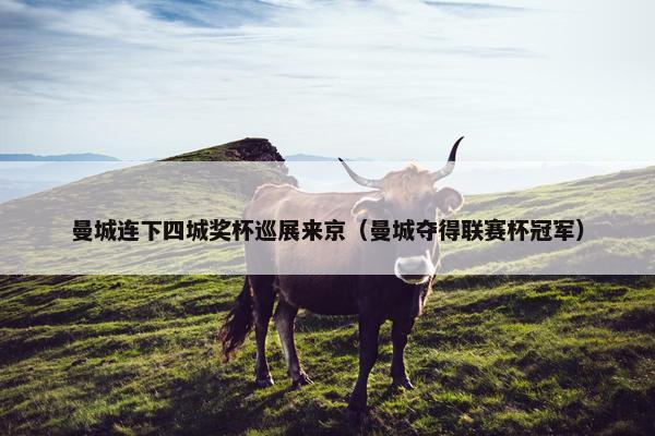 曼城连下四城奖杯巡展来京（曼城夺得联赛杯冠军）