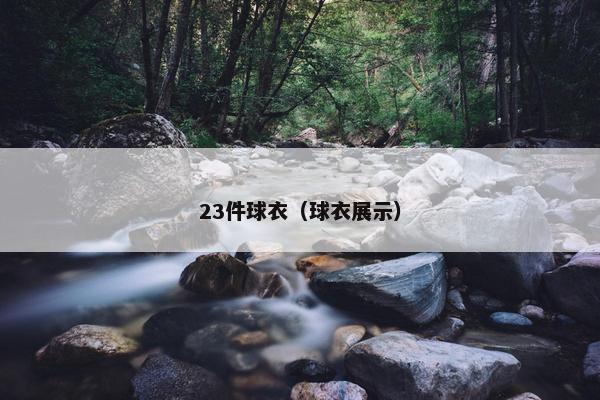 23件球衣（球衣展示）