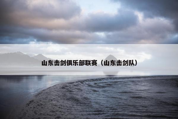 山东击剑俱乐部联赛（山东击剑队）