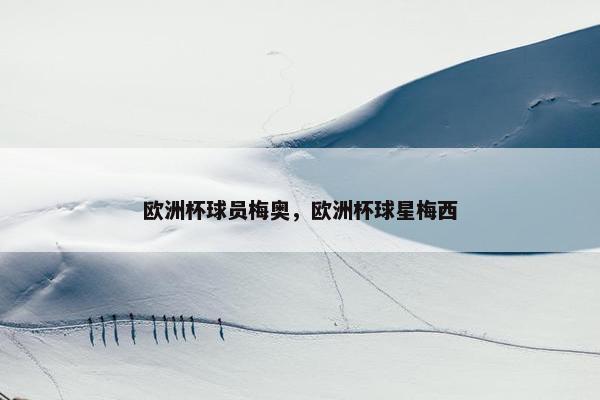 欧洲杯球员梅奥，欧洲杯球星梅西