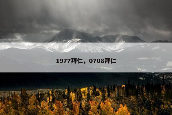 1977拜仁，0708拜仁