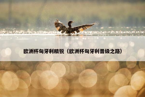 欧洲杯匈牙利精锐（欧洲杯匈牙利晋级之路）