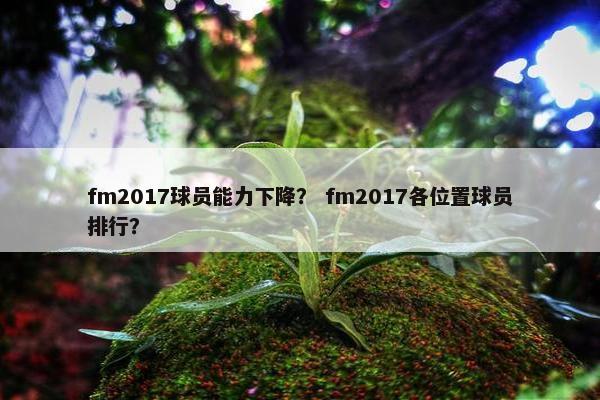 fm2017球员能力下降？ fm2017各位置球员排行？