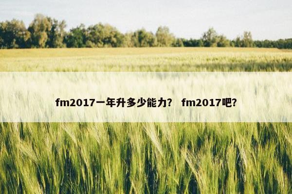 fm2017一年升多少能力？ fm2017吧？