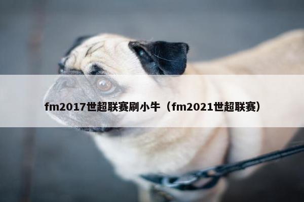 fm2017世超联赛刷小牛（fm2021世超联赛）