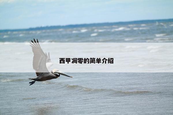 西甲凋零的简单介绍