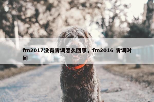 fm2017没有青训怎么回事，fm2016 青训时间