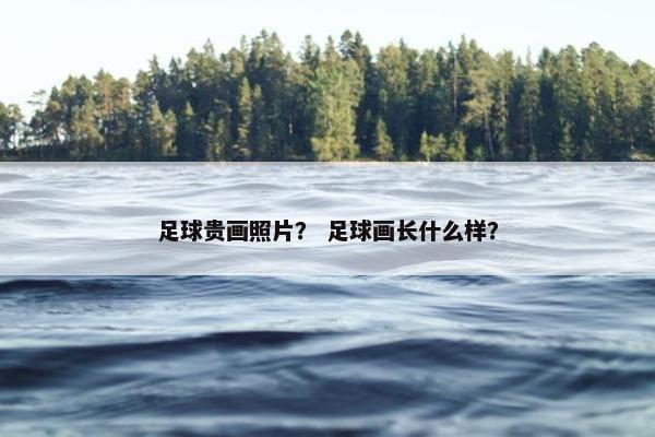 足球贵画照片？ 足球画长什么样？