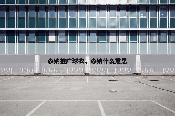 森纳推广球衣，森纳什么意思