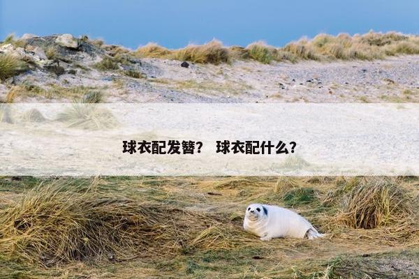 球衣配发簪？ 球衣配什么？