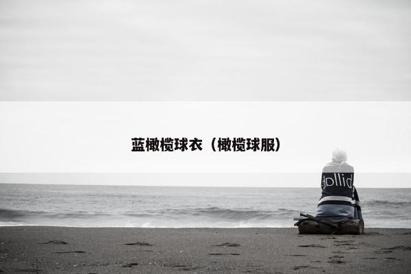 蓝橄榄球衣（橄榄球服）