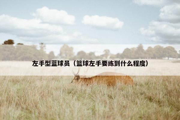 左手型蓝球员（篮球左手要练到什么程度）