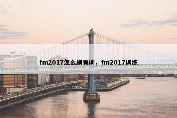 fm2017怎么刷青训，fm2017训练