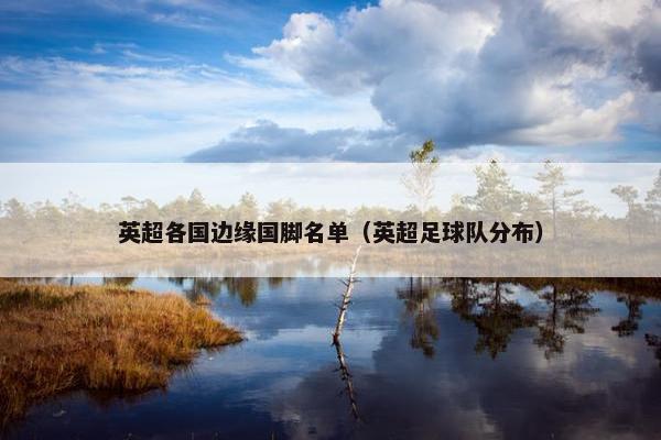 英超各国边缘国脚名单（英超足球队分布）