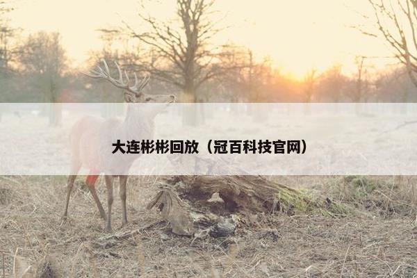 大连彬彬回放（冠百科技官网）