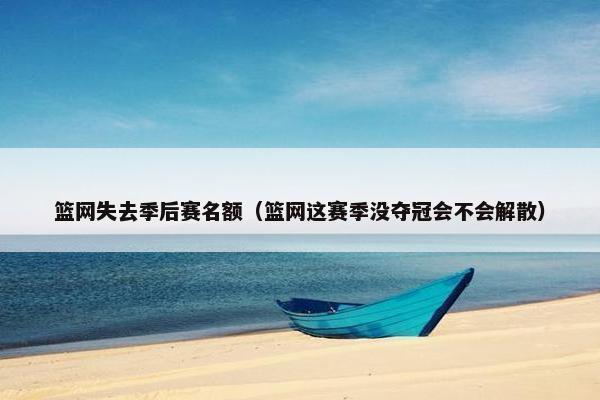 篮网失去季后赛名额（篮网这赛季没夺冠会不会解散）