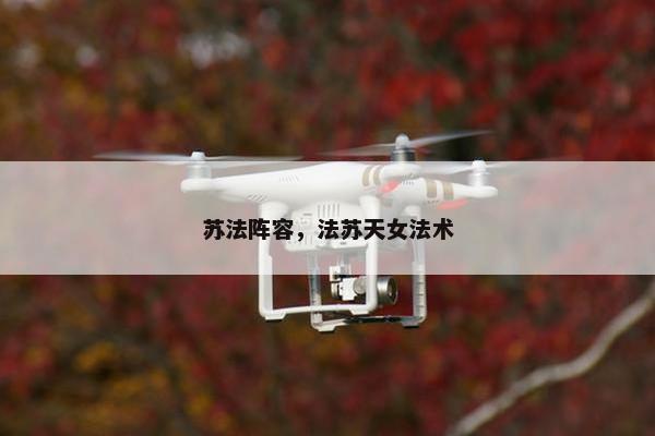 苏法阵容，法苏天女法术
