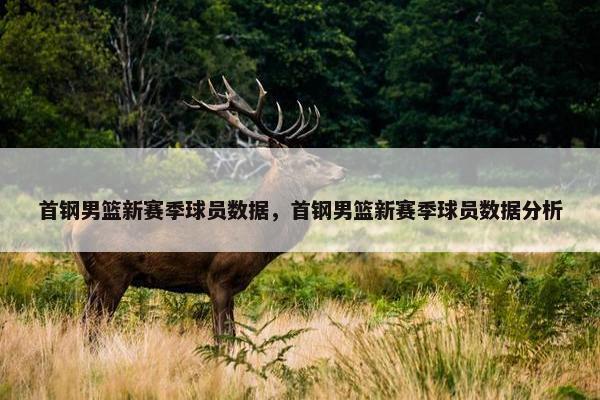 首钢男篮新赛季球员数据,首钢男篮新赛季球员数据分析