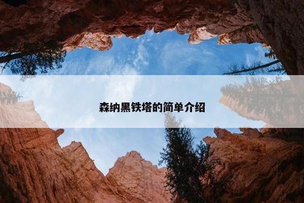 森纳黑铁塔的简单介绍