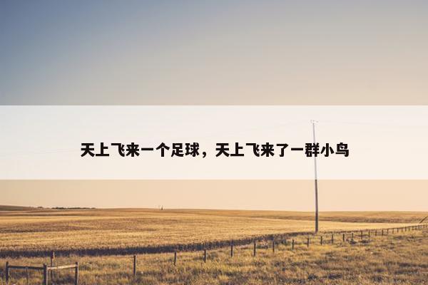 天上飞来一个足球，天上飞来了一群小鸟