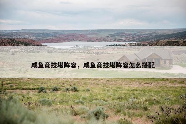 咸鱼竞技塔阵容，咸鱼竞技塔阵容怎么搭配