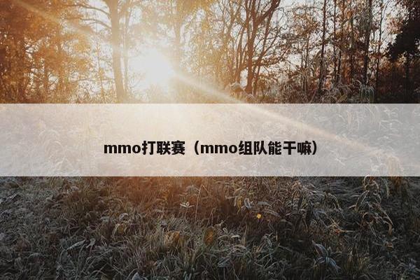mmo打联赛（mmo组队能干嘛）