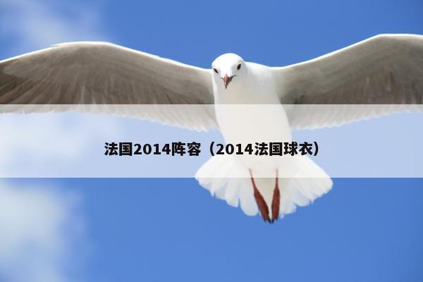 法国2014阵容(2014法国球衣) 法国2014阵容(2014法国球衣)