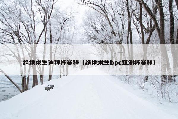 绝地求生迪拜杯赛程（绝地求生bpc亚洲杯赛程）