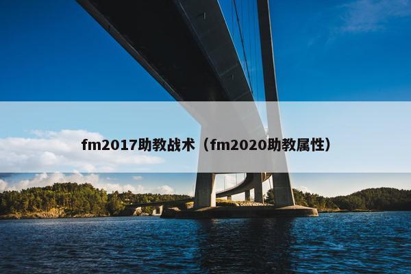 fm2017助教战术(fm2020助教属性)