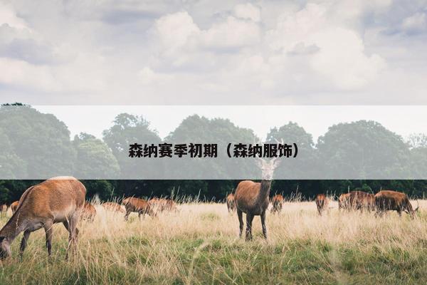 森纳赛季初期（森纳服饰）