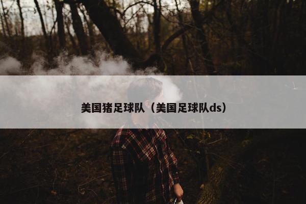 美国猪足球队(美国足球队ds)