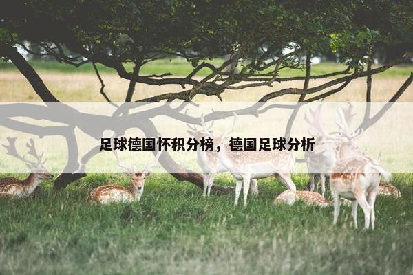 足球德国怀积分榜，德国足球分析