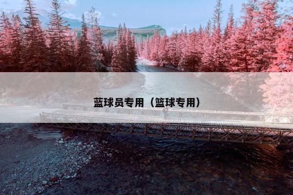 蓝球员专用（篮球专用）