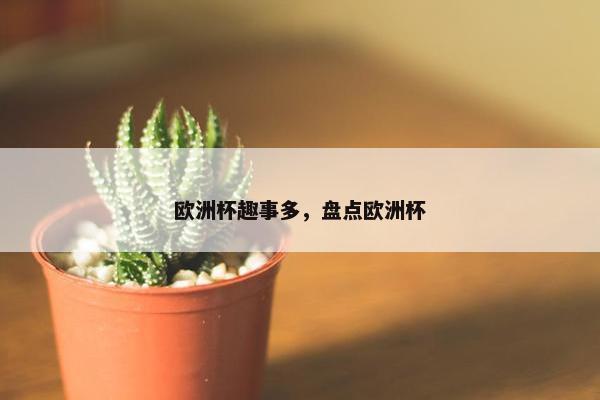 欧洲杯趣事多，盘点欧洲杯