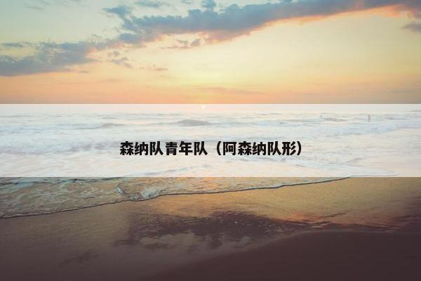 森纳队青年队（阿森纳队形）