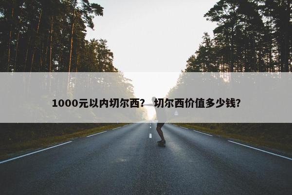 1000元以内切尔西？ 切尔西价值多少钱？