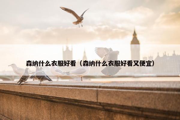 森纳什么衣服好看（森纳什么衣服好看又便宜）