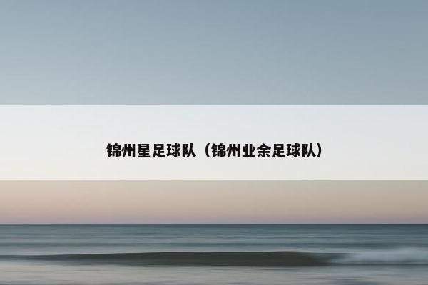 锦州星足球队（锦州业余足球队）